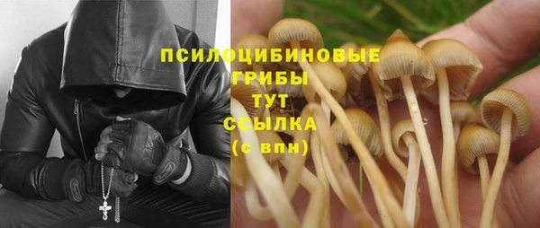 гашиш Арсеньев