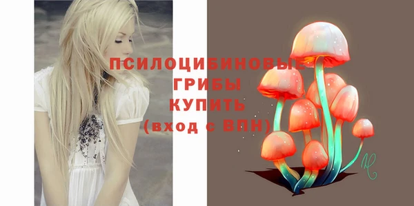 прущие грибы Балабаново
