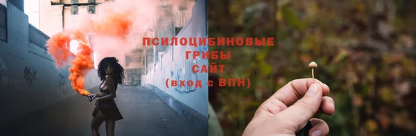 прущие грибы Балабаново