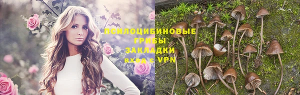 гашиш Арсеньев