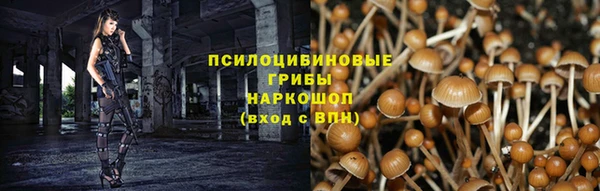прущие крисы Баксан