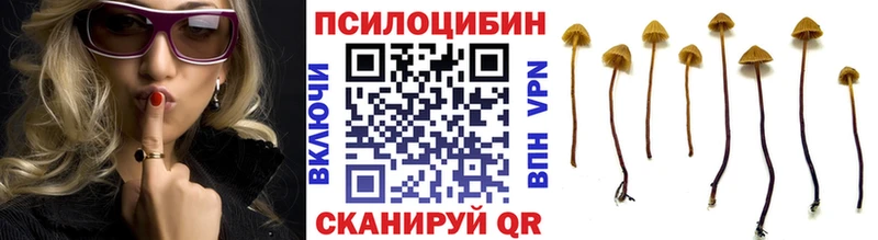 Псилоцибиновые грибы прущие грибы  blacksprut ссылка  Зима 